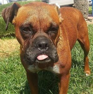 Meet your Posher, Anthony